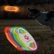 LED Rechargeable Pets Training Dog Toy Pet Products